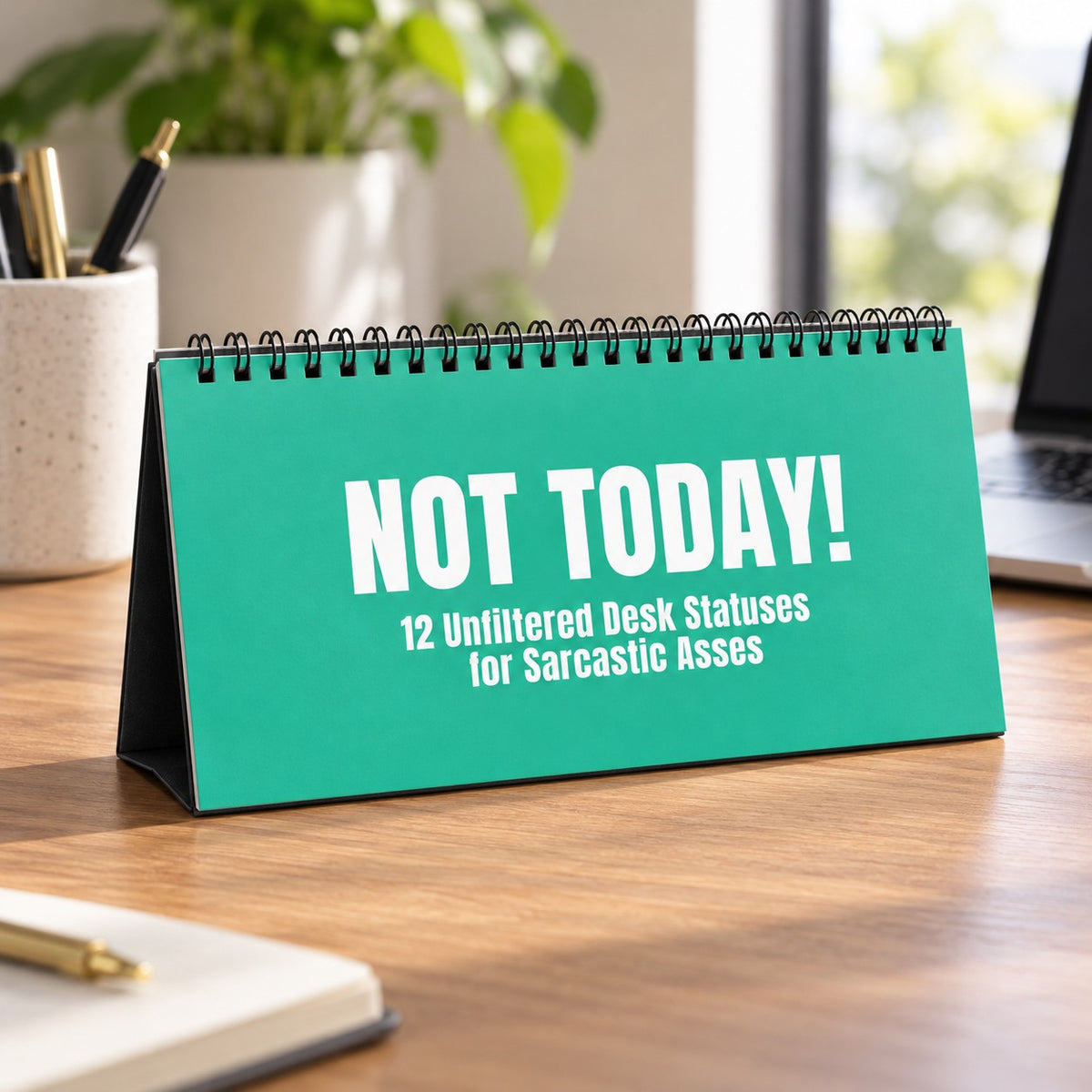 NOT TODAY! Unfiltered Desk Status Flip Sign — 12 Messages
