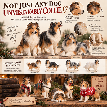 🎀50% OFF TODAY🎀🐶24 Days of Collie Memories — 24 Little Reminders of the Dog You Never Forget ❤️🐾
