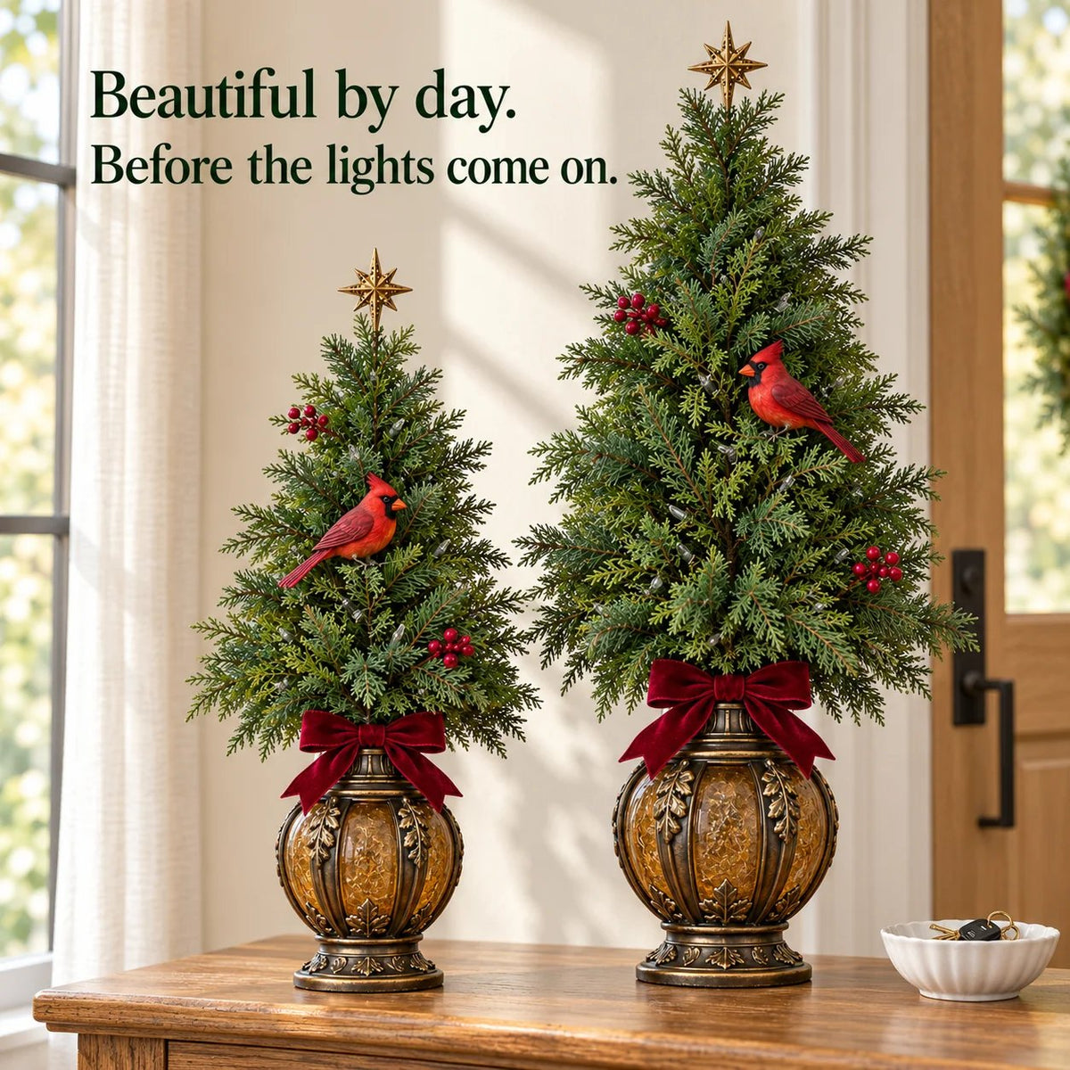Cardinal Glow Trees displayed in daylight before the lights come on