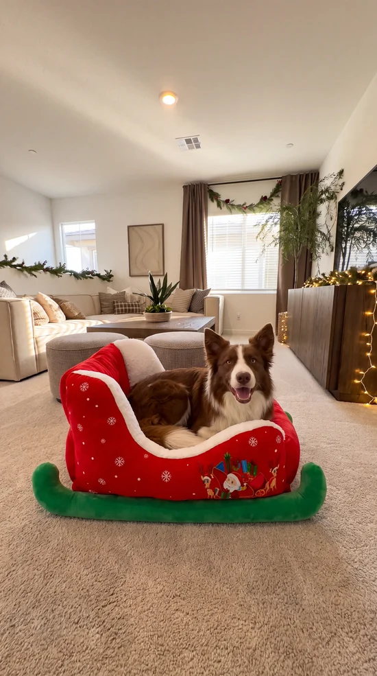 Christmas Pet Bed🔥FREE SHIPPING！