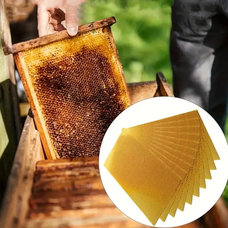 🔥HOT SALE🔥📢🕯️ DIY Beeswax Candle Making Kit (12-Piece Set) – Create Your Own Cozy Glow!