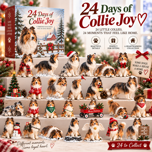 🎀50% OFF TODAY🎀🐶24 Days of Collie Memories — 24 Little Reminders of the Dog You Never Forget ❤️🐾