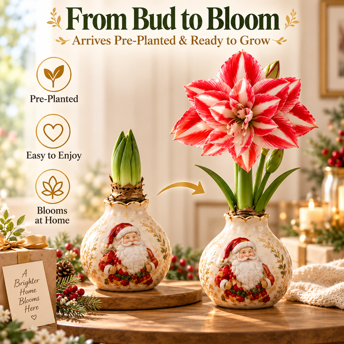 🌱Grow Your Own Amaryllis – Blooming Gift Pot with Decorative Animal Vase