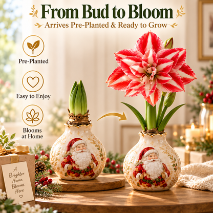 🌱Grow Your Own Amaryllis – Blooming Gift Pot with Decorative Animal Vase