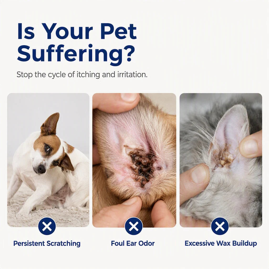 💕Buy 1 Get 1 Free🎁🐶🐱Pet Ear Cleaner for Dogs & Cats👂🪄