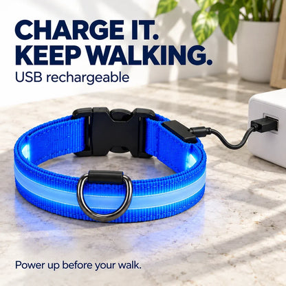 🐕 Rechargeable LED Dog Walking Kit ✨ Light-Up Harness, Collar & Leash for Safer Night Walks