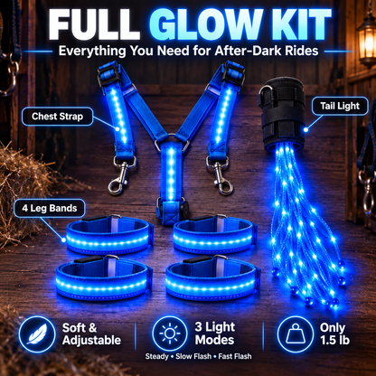 🔥Black Friday 50% OFF🏇LED Horse Night Riding Lights – Full-Body Glow Kit with Enhanced Visibility & 12 Lighting Modes✨