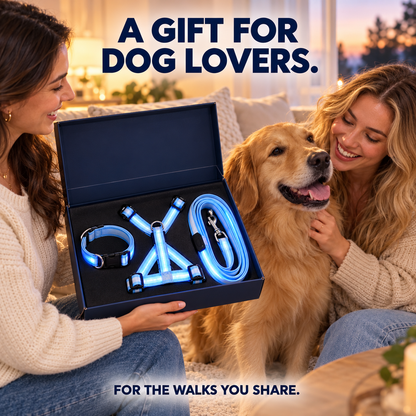 ✨ LED Dog Night Walking Kit – Light-Up Harness, Collar & Leash Set