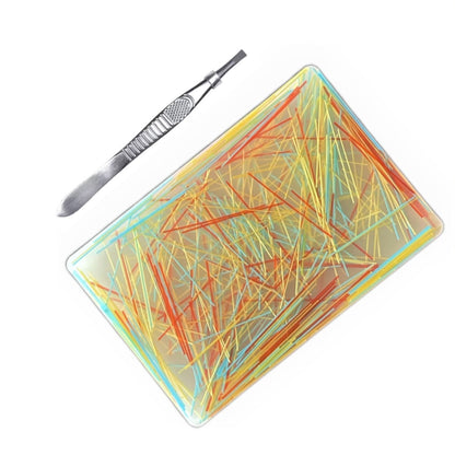 🏆 Last Day Special Price $19.99! 🔥Buy 2 Get 1 Free🎁Rectangular Skin Picking Fidget Toy with Tweezers