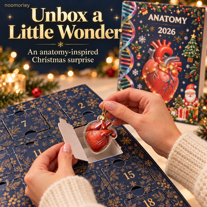 🎄 Anatomy Christmas Advent Calendar – Unique Organ-Shaped Ornaments & Holiday Surprises for Nurses, Medical Students & Science Lovers 🎁
