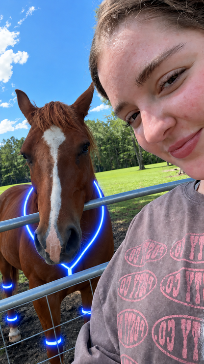 🔥Black Friday 50% OFF🏇LED Horse Night Riding Lights – Full-Body Glow Kit with Enhanced Visibility & 12 Lighting Modes✨