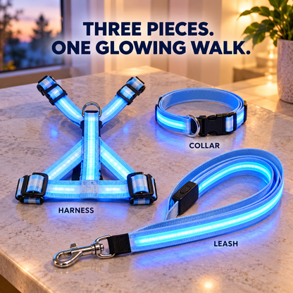 ✨ LED Dog Night Walking Kit – Light-Up Harness, Collar & Leash Set