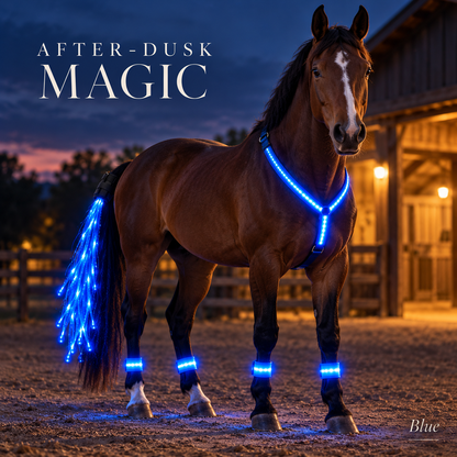 🐴 LED Horse Glow Kit – Chest Strap, Leg Bands & Tail Light