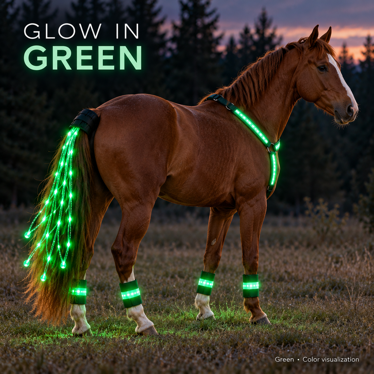 🐴 LED Horse Glow Kit – Chest Strap, Leg Bands & Tail Light