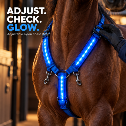 🐴 LED Horse Glow Kit – Chest Strap, Leg Bands & Tail Light