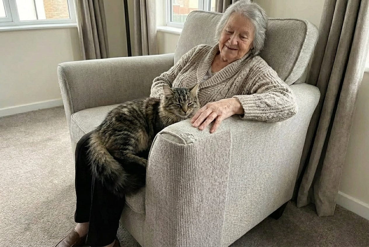 🐱🐾 Self-Adhesive Cat Scratching Mat – Cut-to-Fit Scratch Protector for Sofas, Furniture & Cat Claw Care 🛋️✨