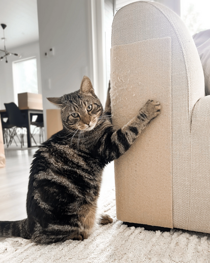 🐱🐾 Self-Adhesive Cat Scratching Mat – Cut-to-Fit Scratch Protector for Sofas, Furniture & Cat Claw Care 🛋️✨