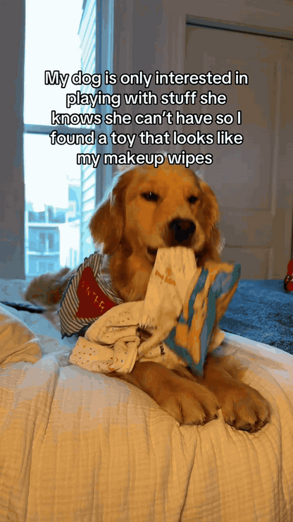 Pull & Snuffle Wipes Dog Toy