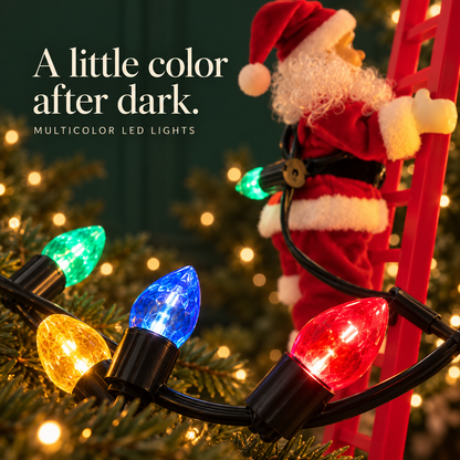 Close-up of the multicolor LED bulbs carried by Santa