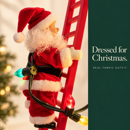 Santa's red fabric outfit, white trim and curly beard close-up