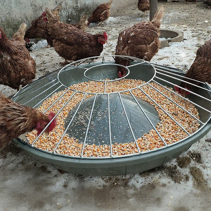 Large-Capacity Poultry Feeder 🐔 – Round Anti-Waste Chicken Feeding Station