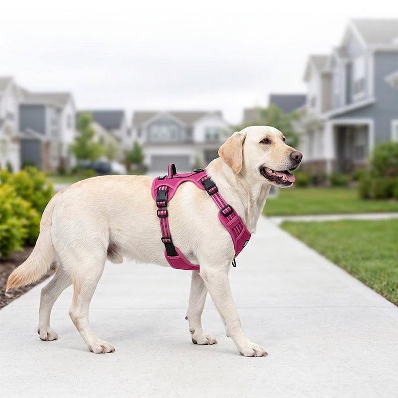 🎀Outdoor Heavy-Duty Adjustable No-Pull Dog Harness with Control Handle