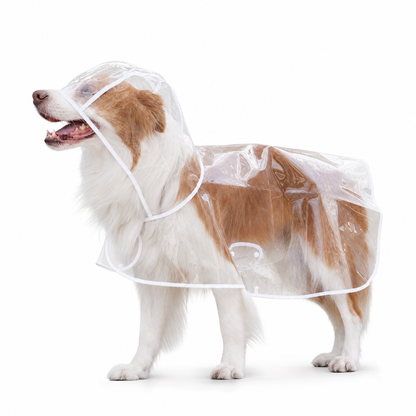 Clear Waterproof Dog Raincoat 🌧️ – Rainy-Day Protection | 50% OFF