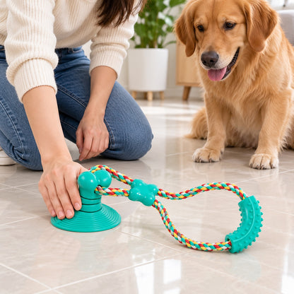 Suction Cup Rope Tug Dog Toy