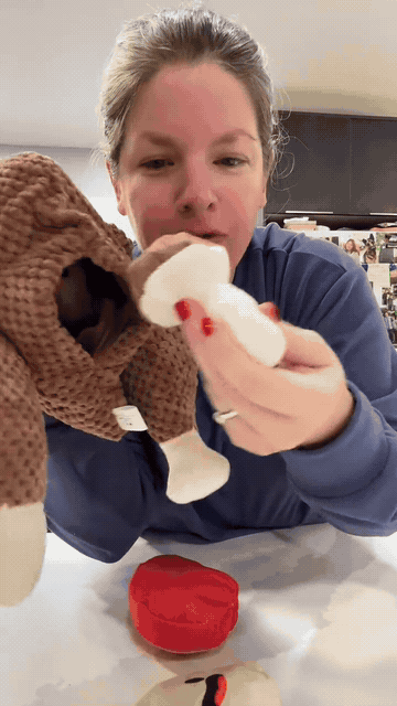 Turkey Dinner 7-in-1 Hide-and-Seek Dog Toy