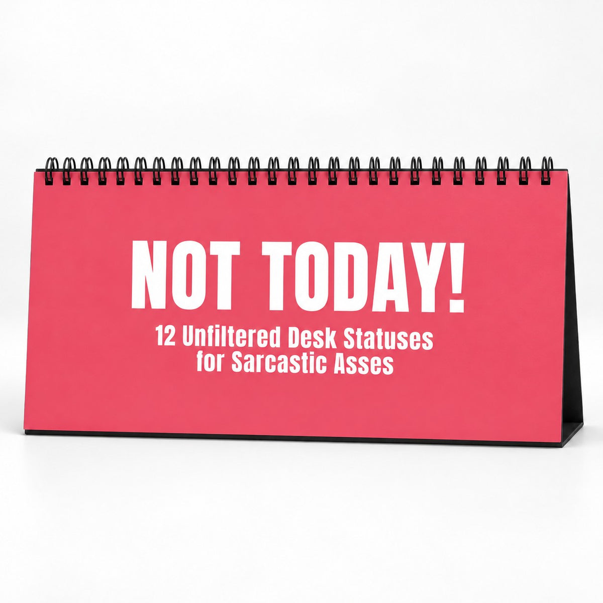 NOT TODAY! Unfiltered Desk Status Flip Sign — 12 Messages