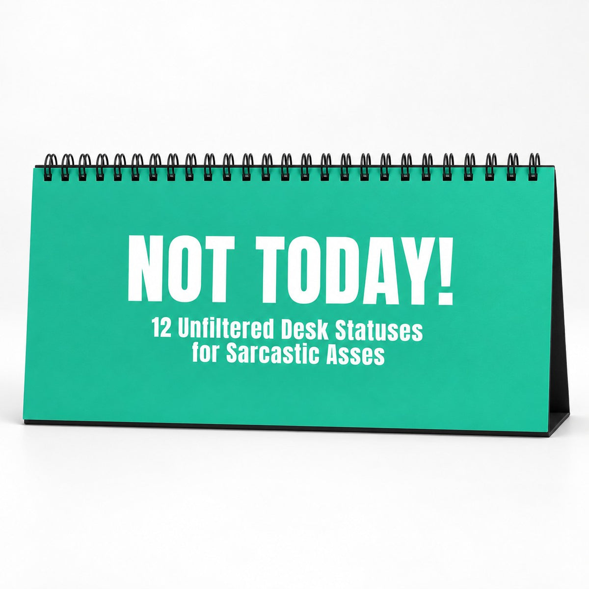 NOT TODAY! Unfiltered Desk Status Flip Sign — 12 Messages